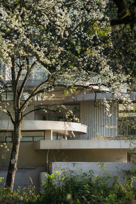 Buzzy Sunny· Feixue Pavilion